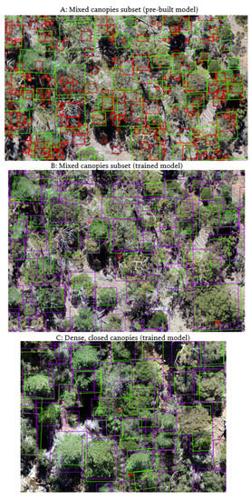 Remotesensing 14 04963 g006