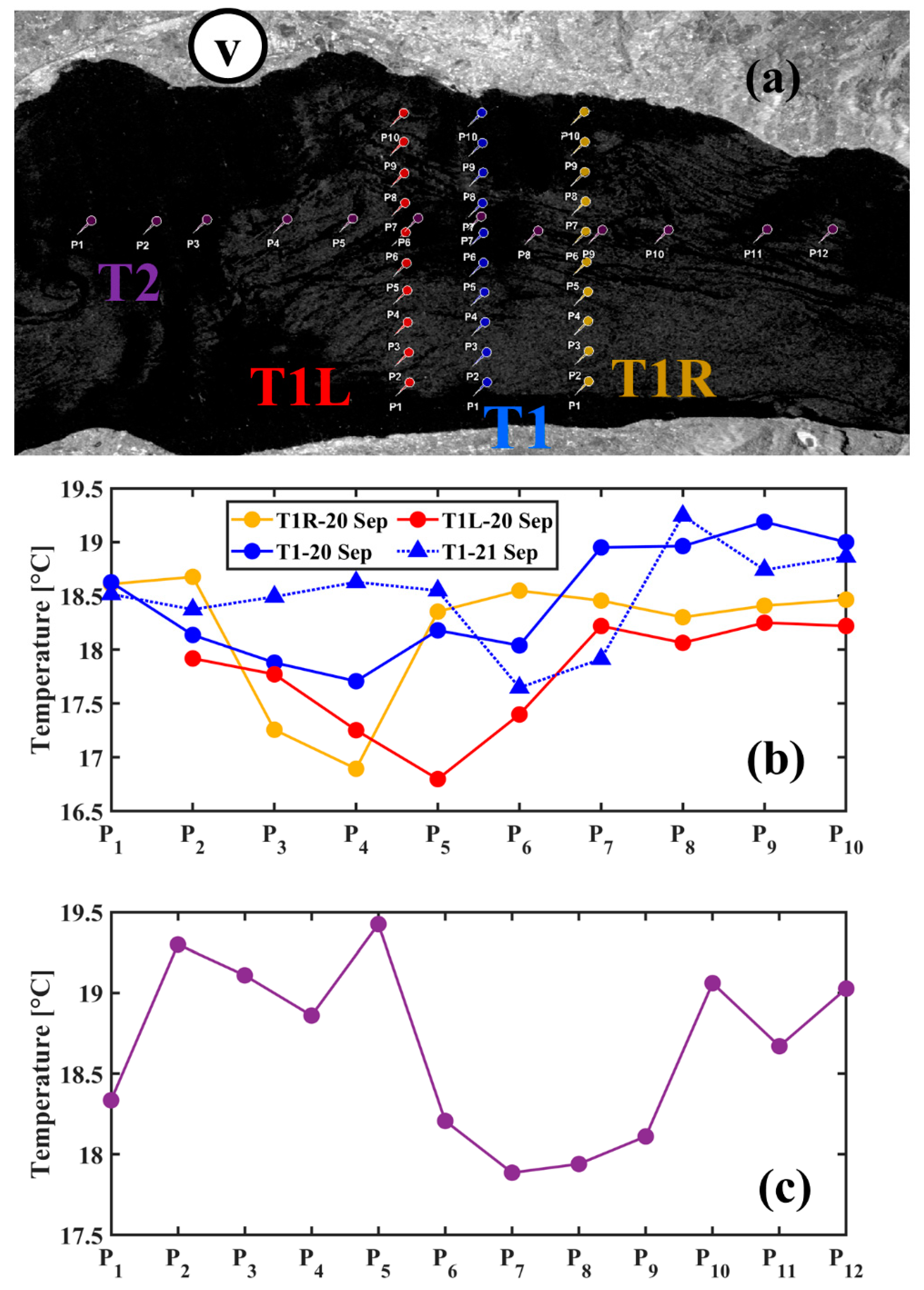 Remotesensing 14 04967 g006 Remotesensing 14 04967 g006