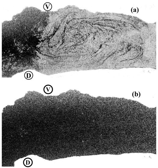 Remotesensing 14 04967 g0a1