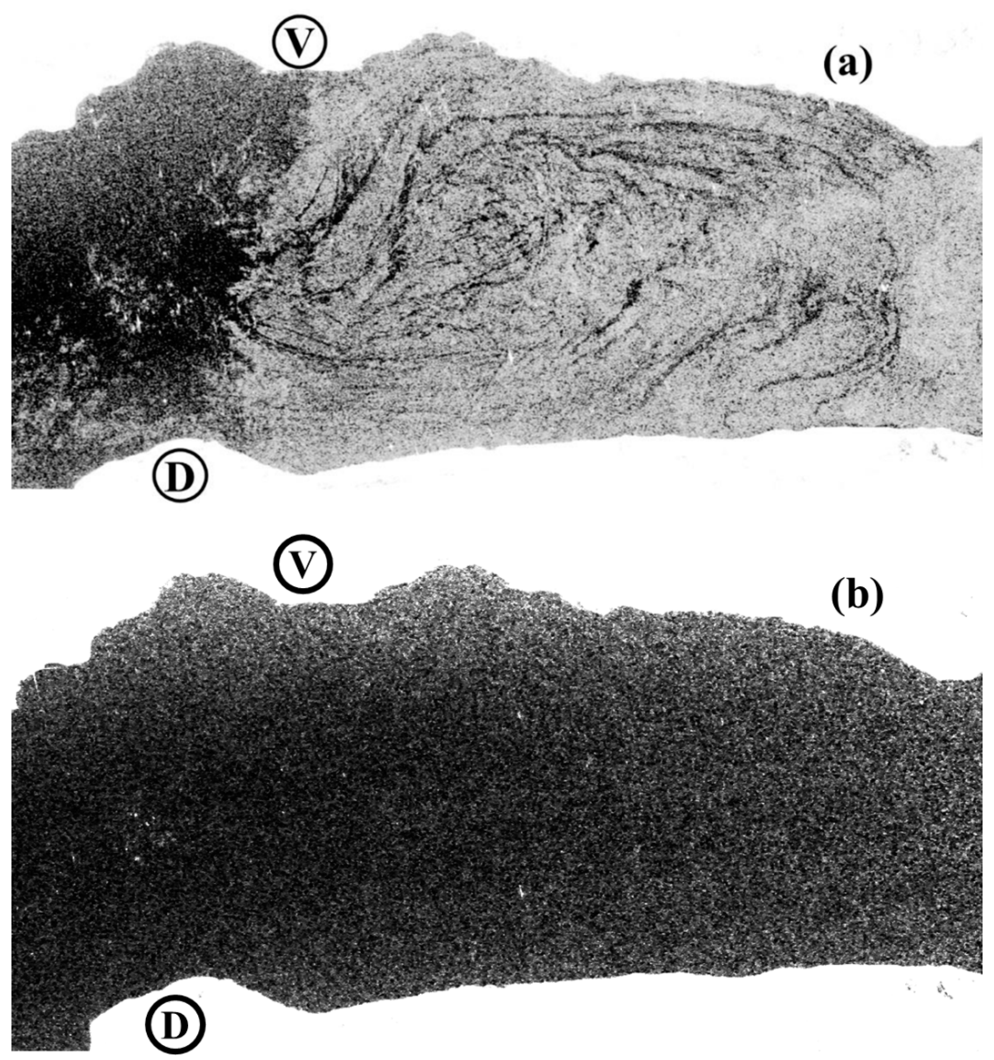 Remotesensing 14 04967 g0a1 Remotesensing 14 04967 g0a1