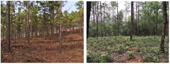 Remotesensing 14 04987 g003