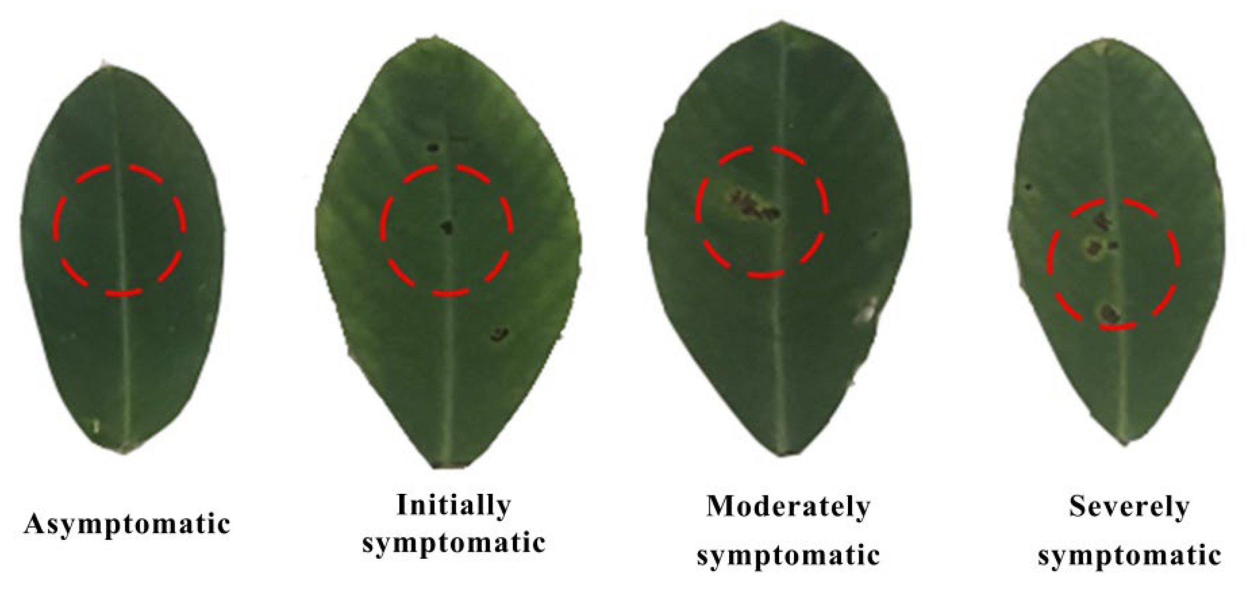 Remotesensing 14 04988 g002 Remotesensing 14 04988 g002