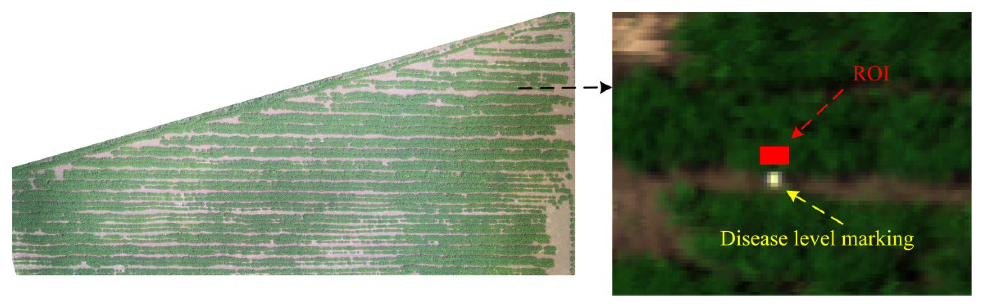 Remotesensing 14 04988 g004 Remotesensing 14 04988 g004