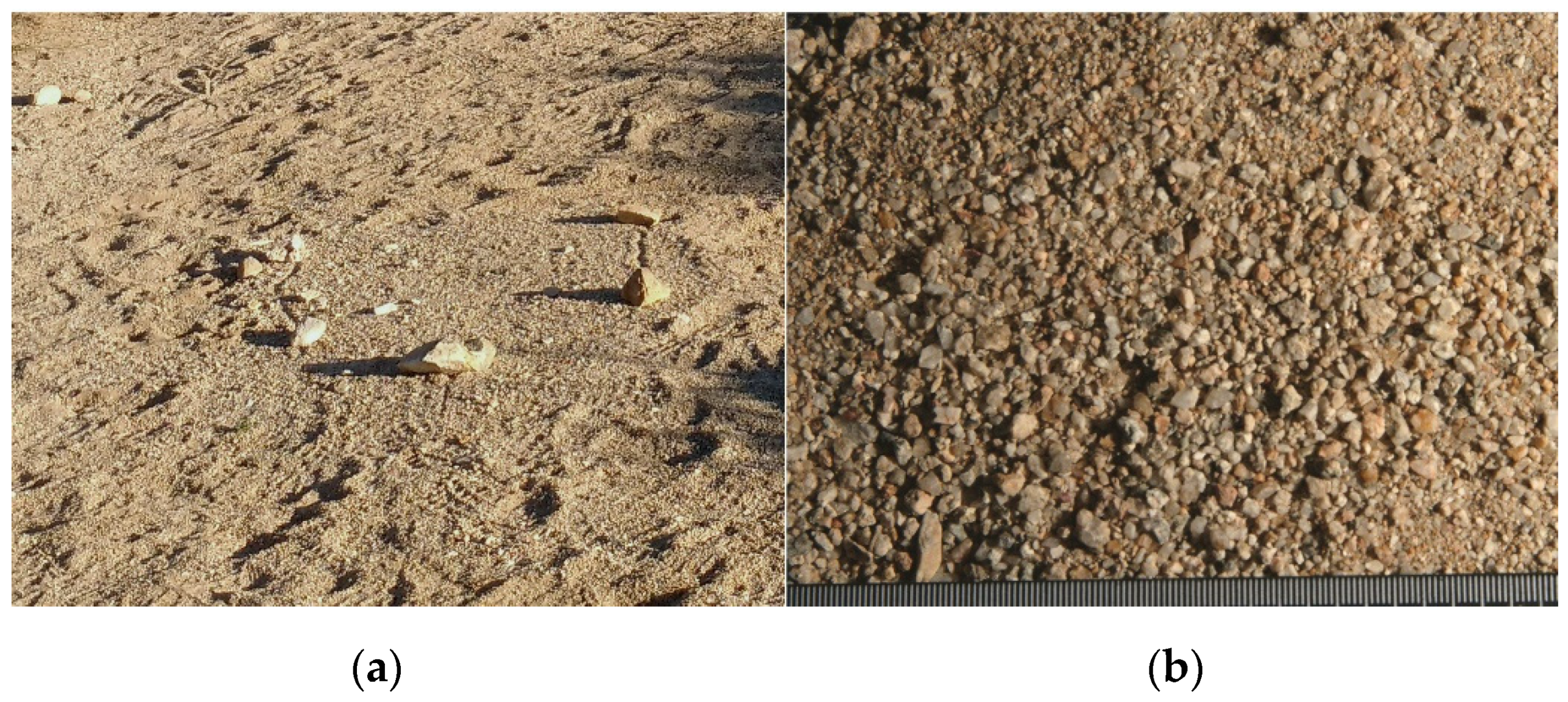 Remotesensing 14 05020 g004 Remotesensing 14 05020 g004