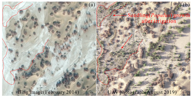 Remotesensing 14 05050 g012