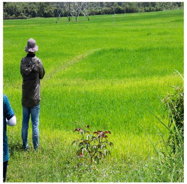 Remotesensing 14 05053 i001 Remotesensing 14 05053 i001