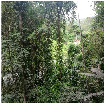 Remotesensing 14 05053 i003 Remotesensing 14 05053 i003