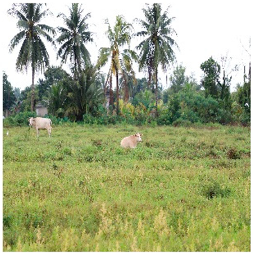 Remotesensing 14 05053 i005 Remotesensing 14 05053 i005