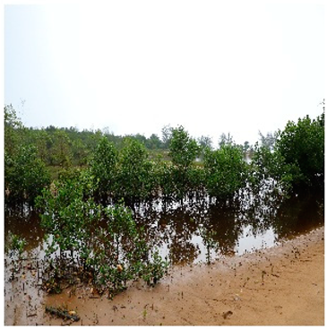 Remotesensing 14 05053 i009 Remotesensing 14 05053 i009