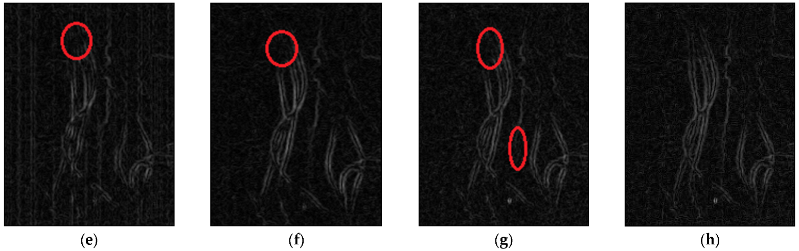 Remotesensing 14 05056 g020b