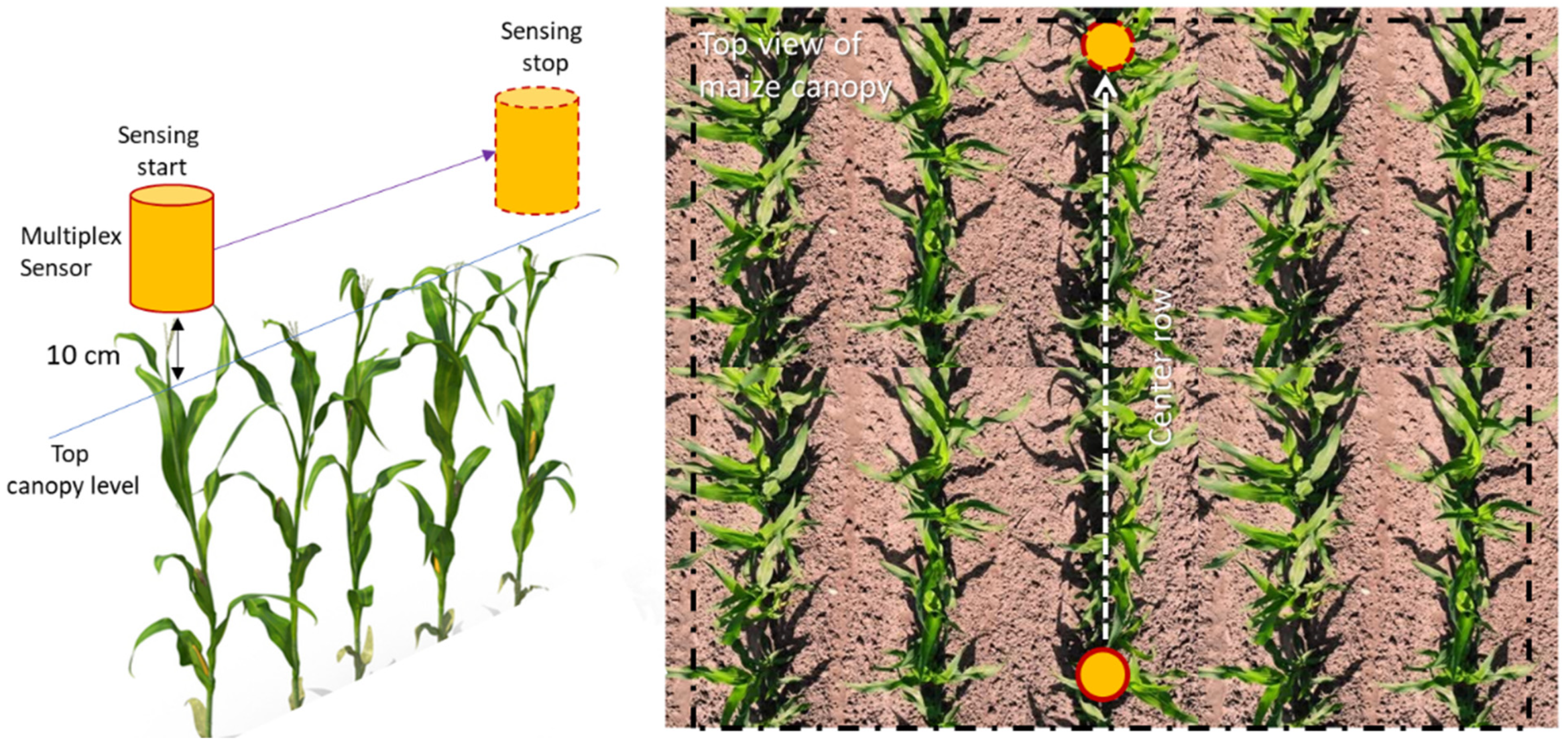Remotesensing 14 05077 g001 Remotesensing 14 05077 g001