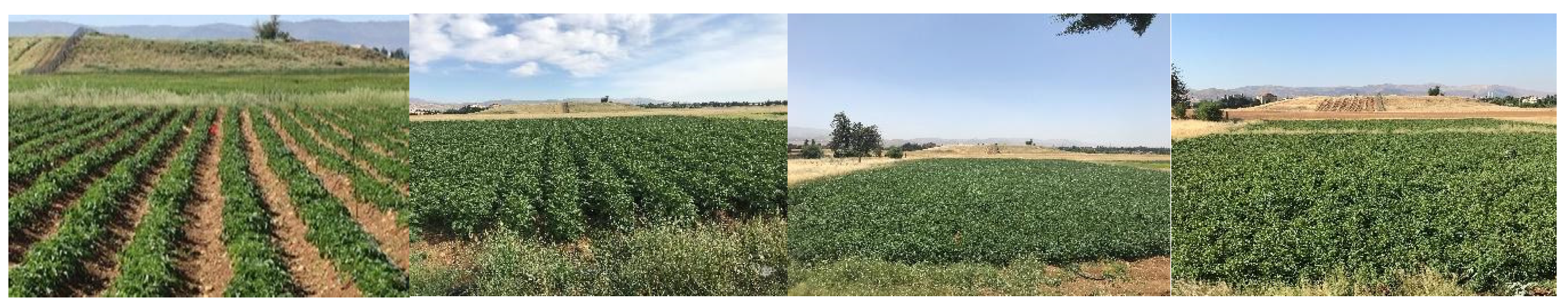 Remotesensing 14 05090 g006 Remotesensing 14 05090 g006