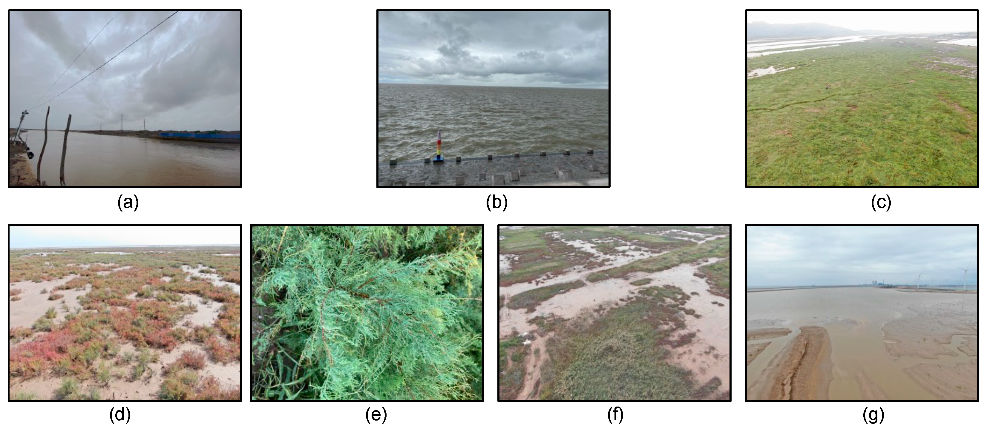 Remotesensing 14 05133 g002