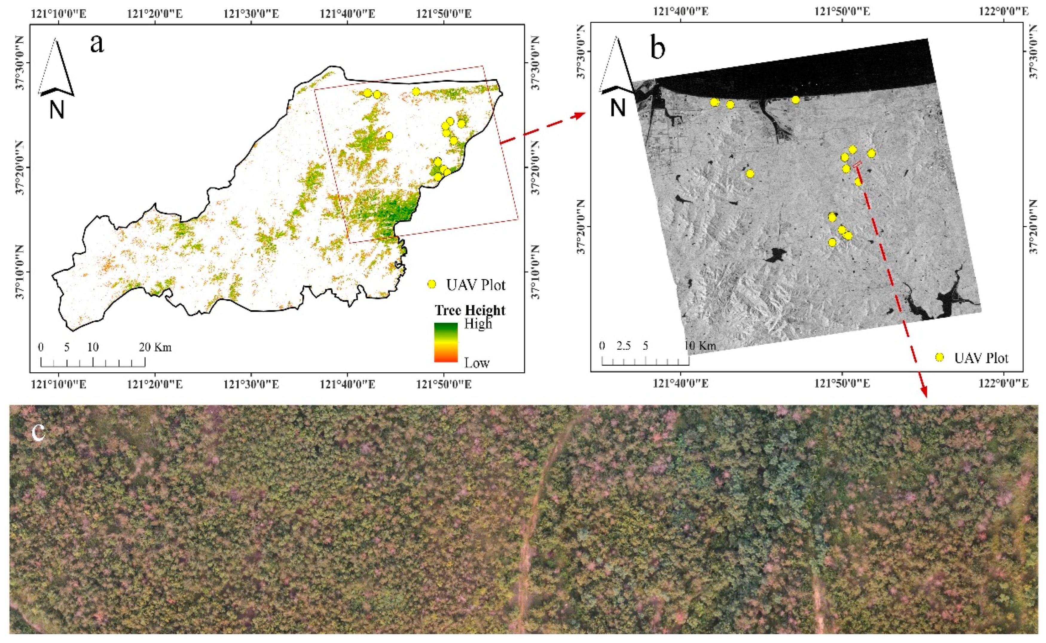 Remotesensing 14 05164 g001 Remotesensing 14 05164 g001