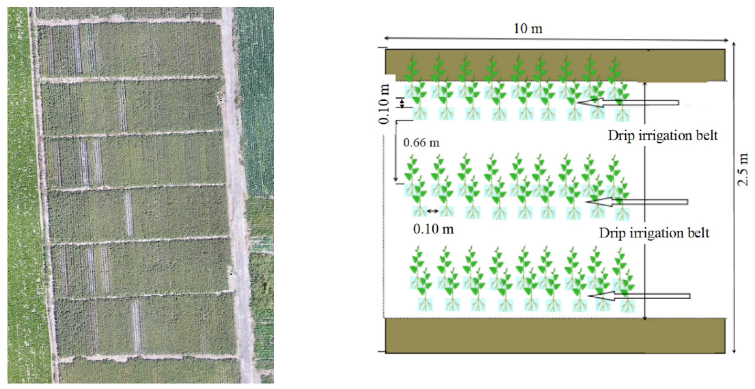 Remotesensing 14 05201 g001