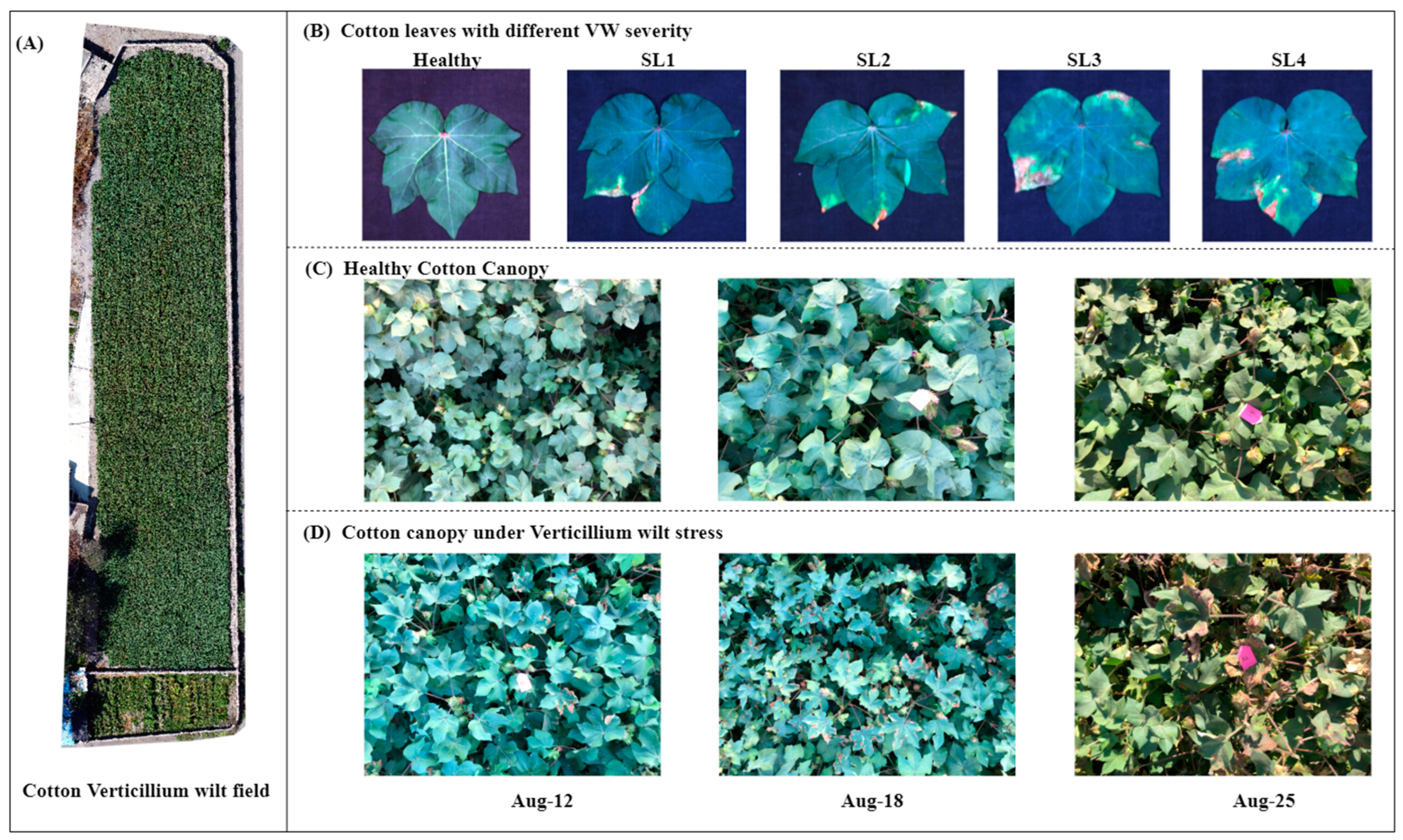 Remotesensing 14 05241 g001 Remotesensing 14 05241 g001