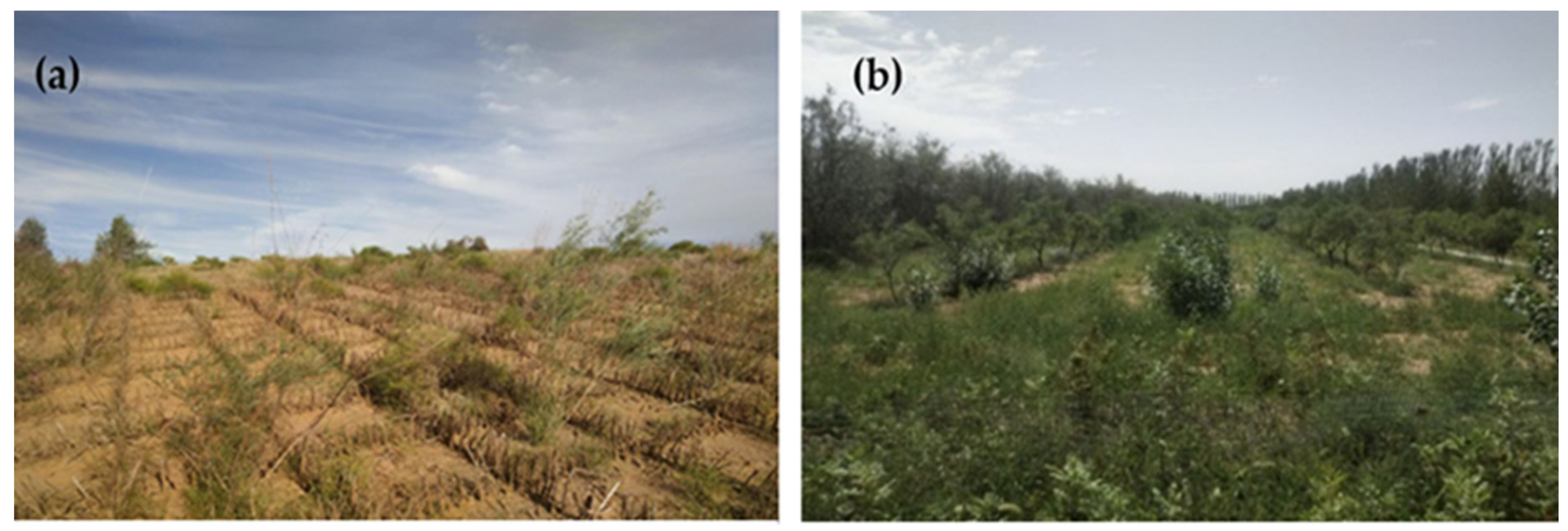 Remotesensing 14 05243 g012