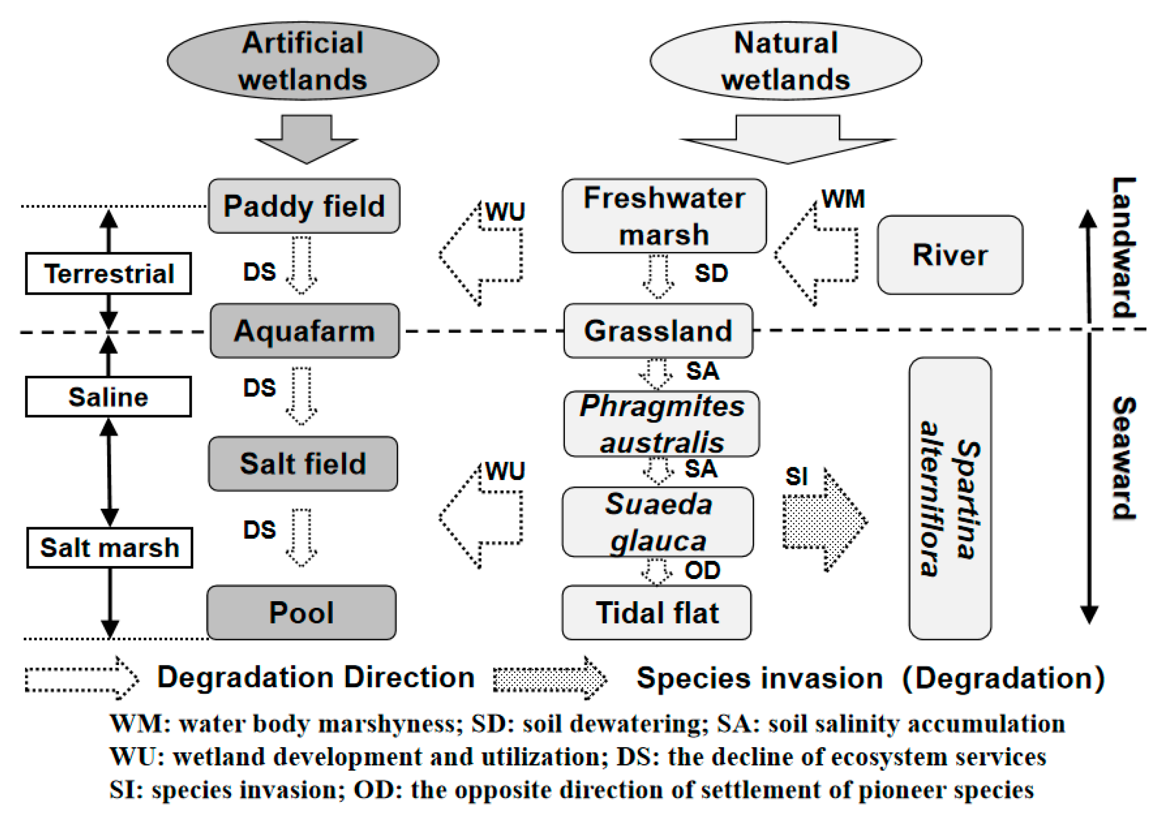 Remotesensing 14 05273 g002 Remotesensing 14 05273 g002
