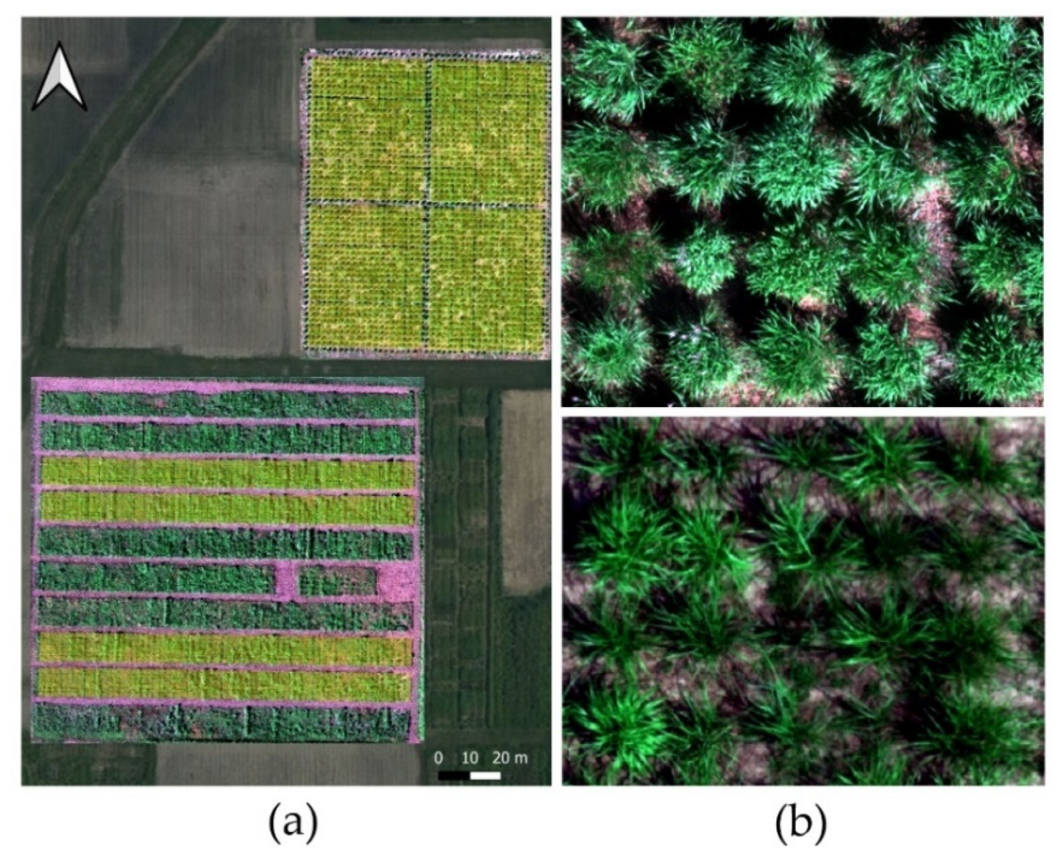 Remotesensing 14 05333 g001