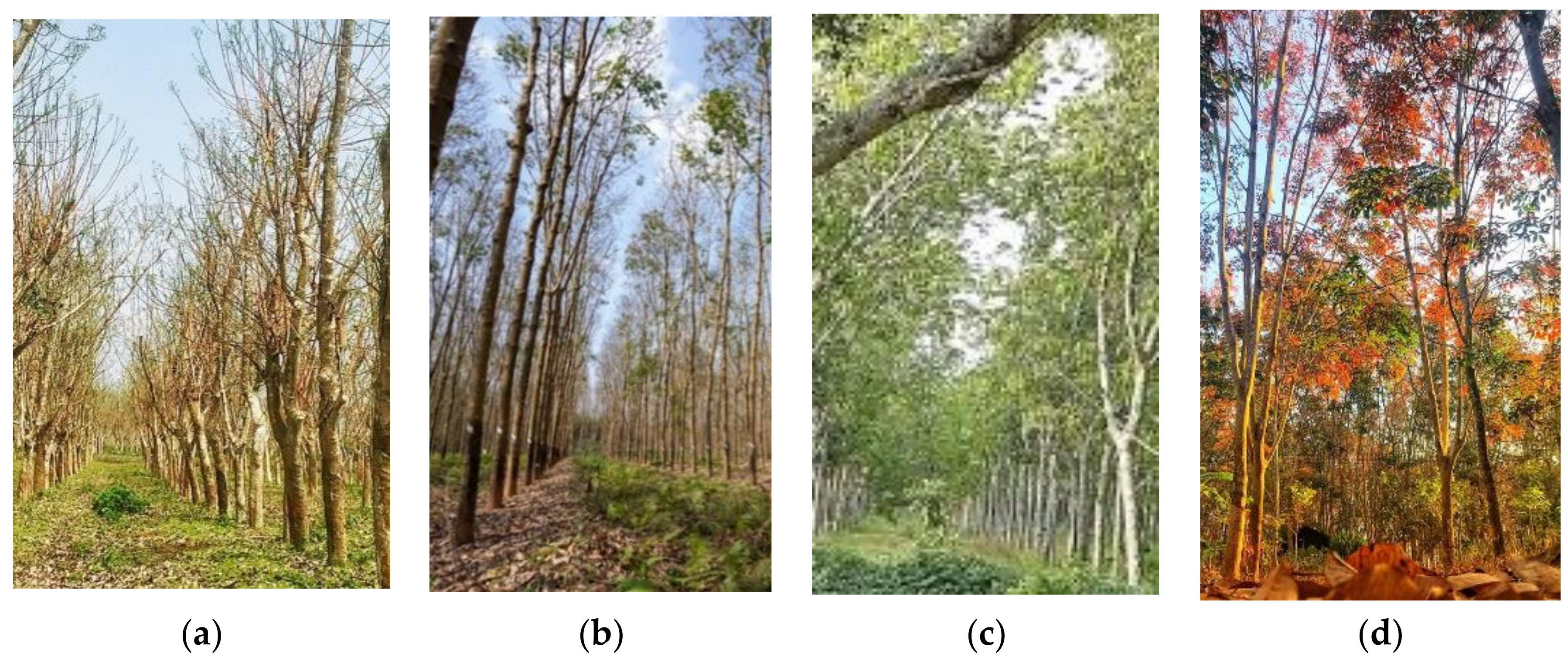 Remotesensing 14 05338 g002 Remotesensing 14 05338 g002