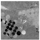 Remotesensing 14 05344 i001