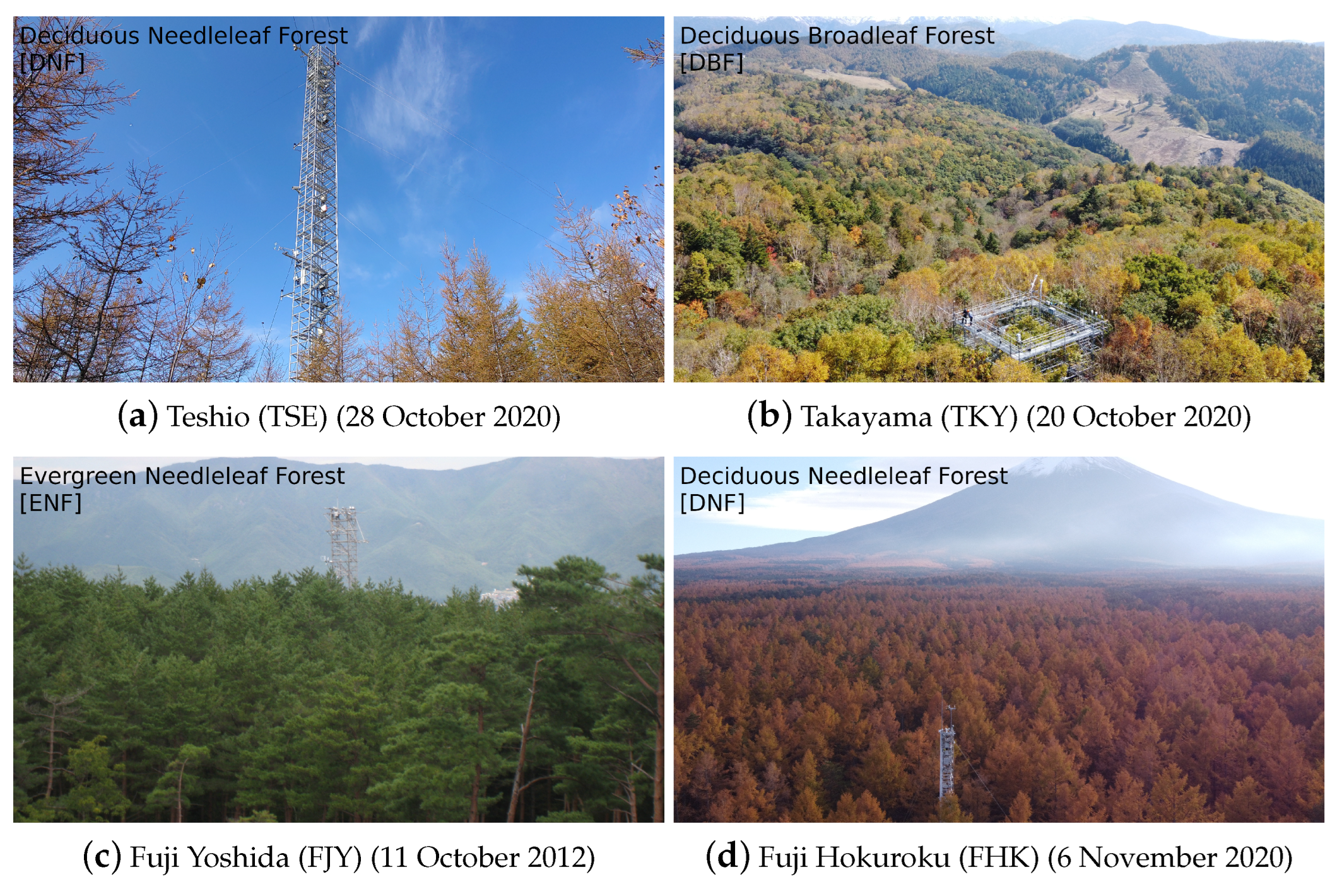 Remotesensing 14 05352 g002 Remotesensing 14 05352 g002