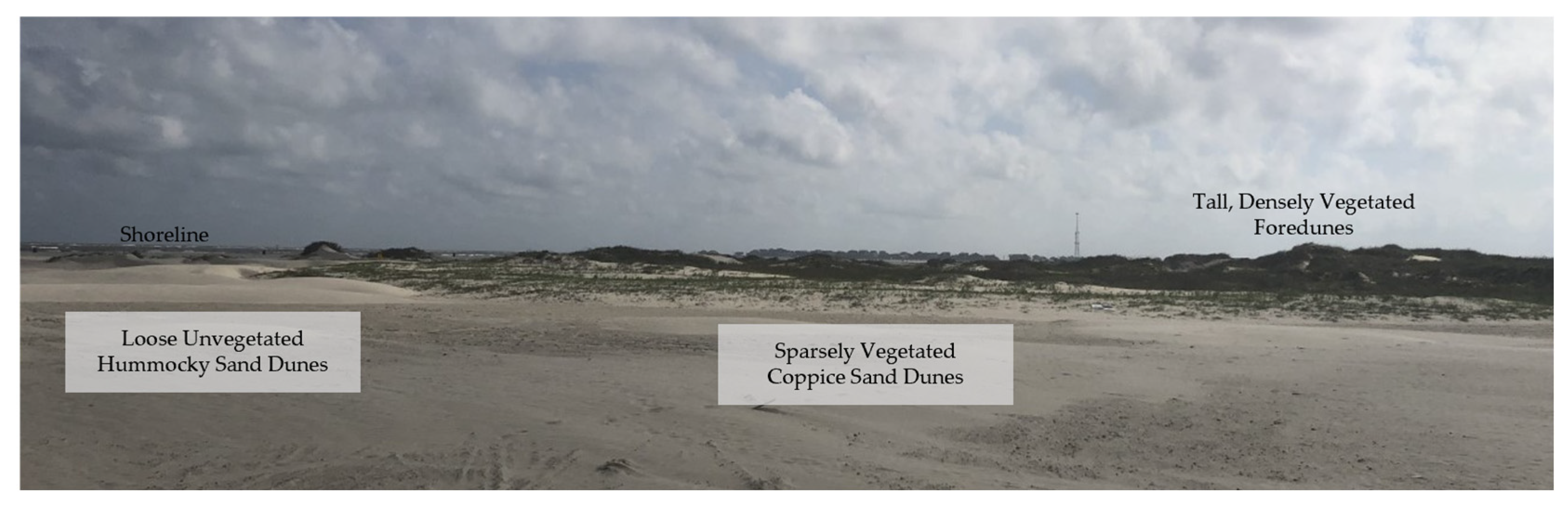 Remotesensing 14 05357 g005 Remotesensing 14 05357 g005