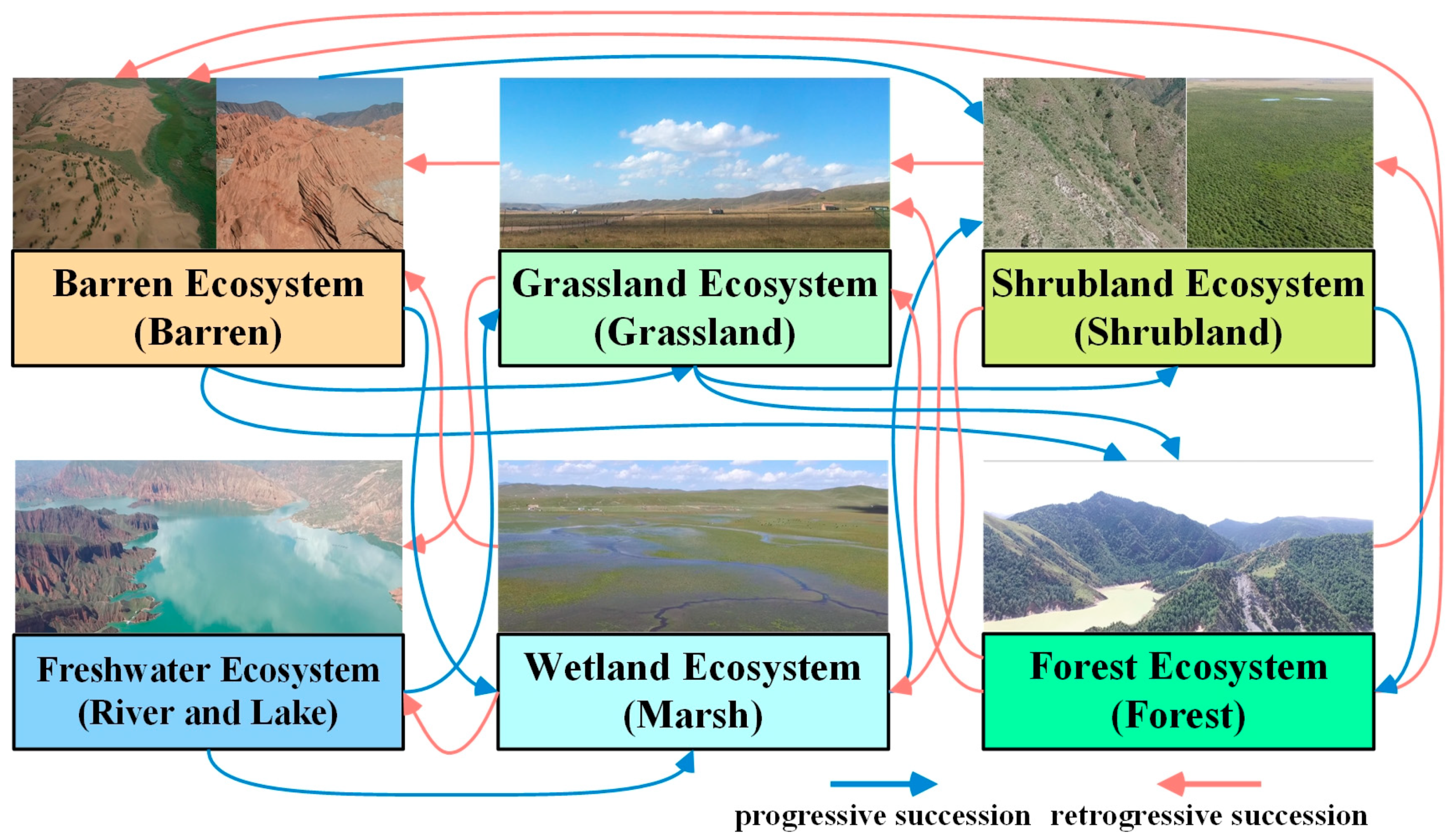 Remotesensing 14 05361 g005