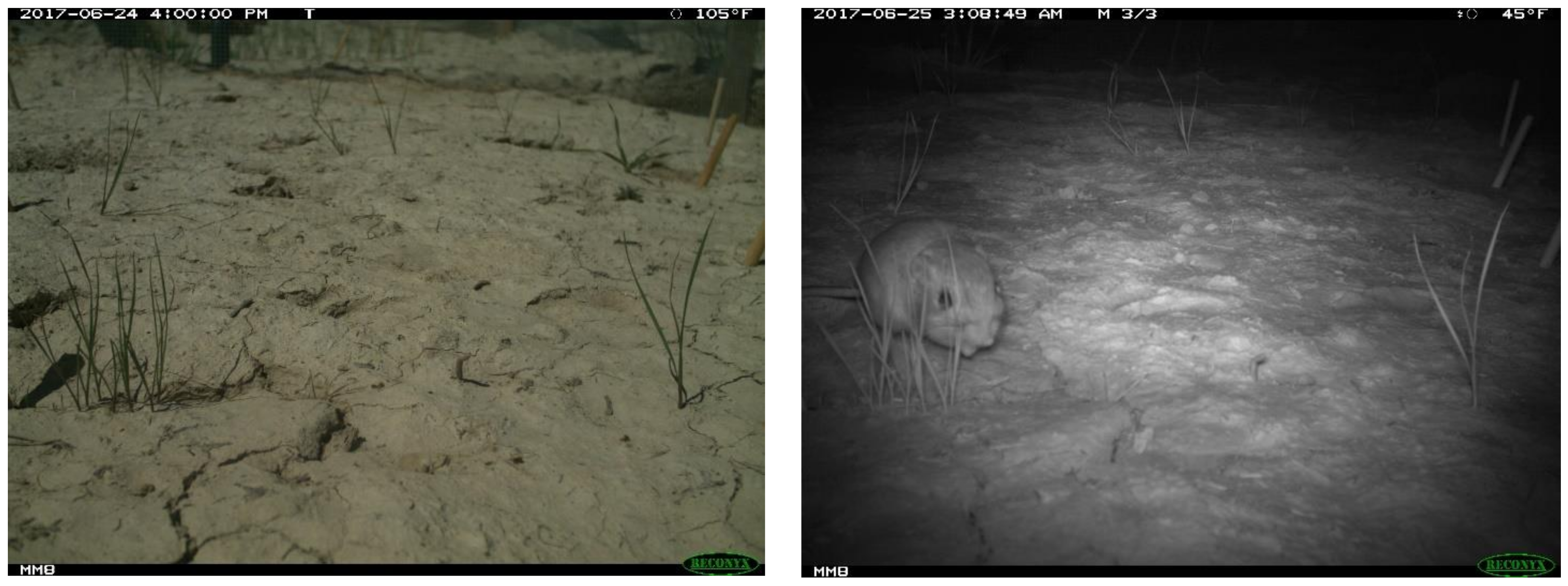 Remotesensing 14 05365 g002