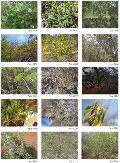 Remotesensing 14 05386 g0a1