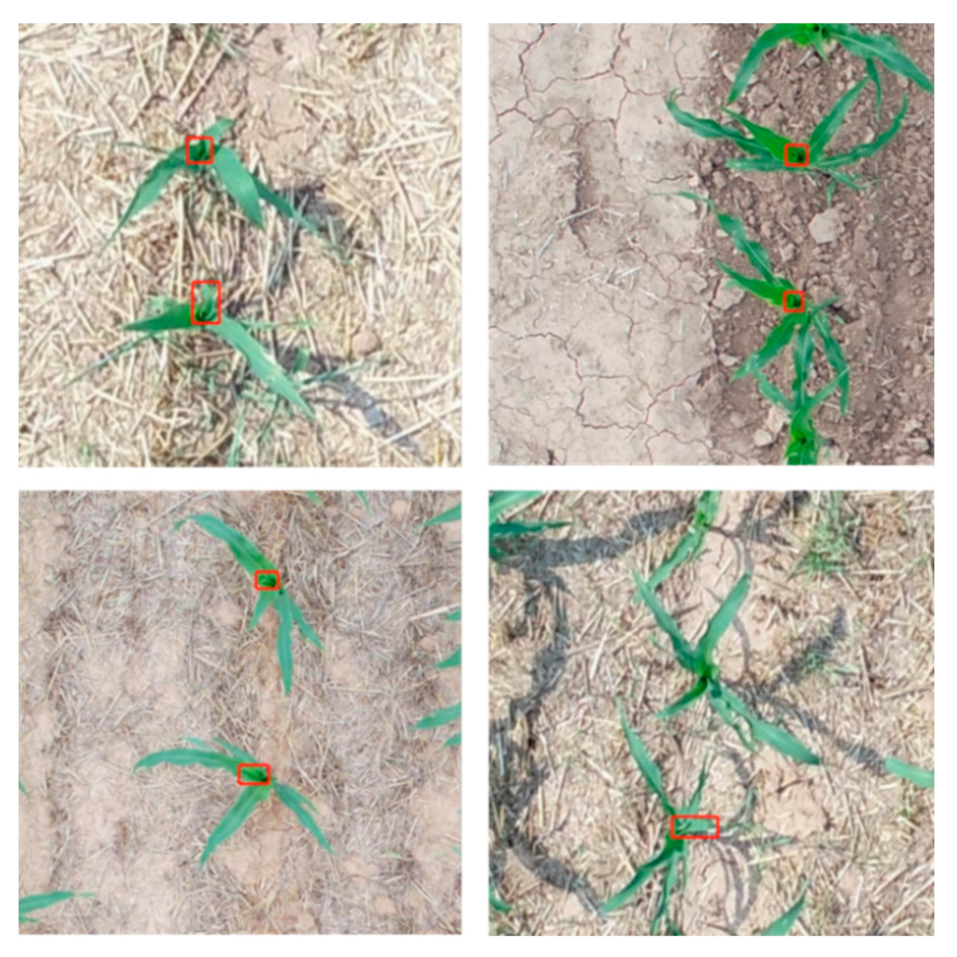 Remotesensing 14 05388 g001 Remotesensing 14 05388 g001