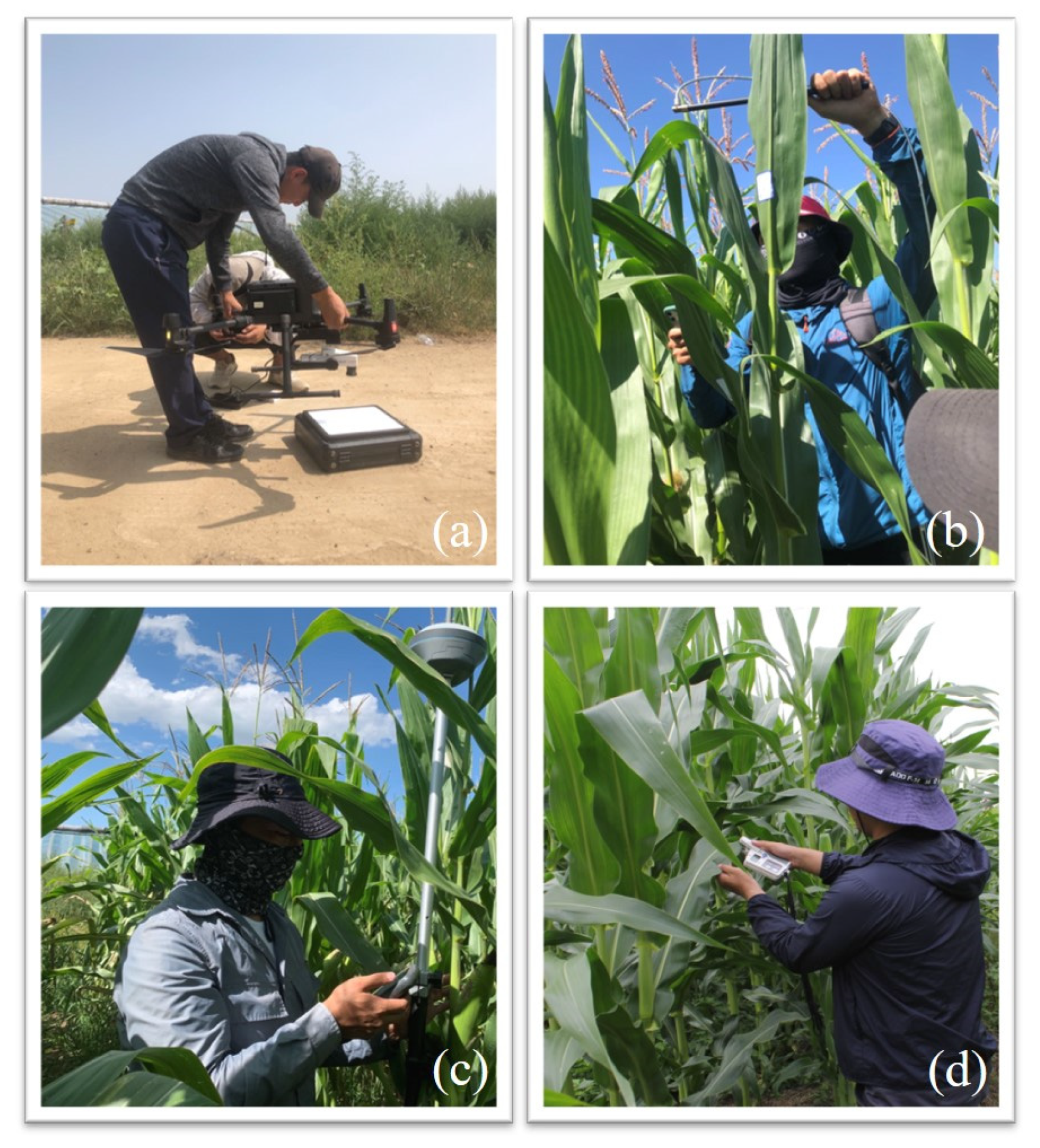 Remotesensing 14 05407 g002