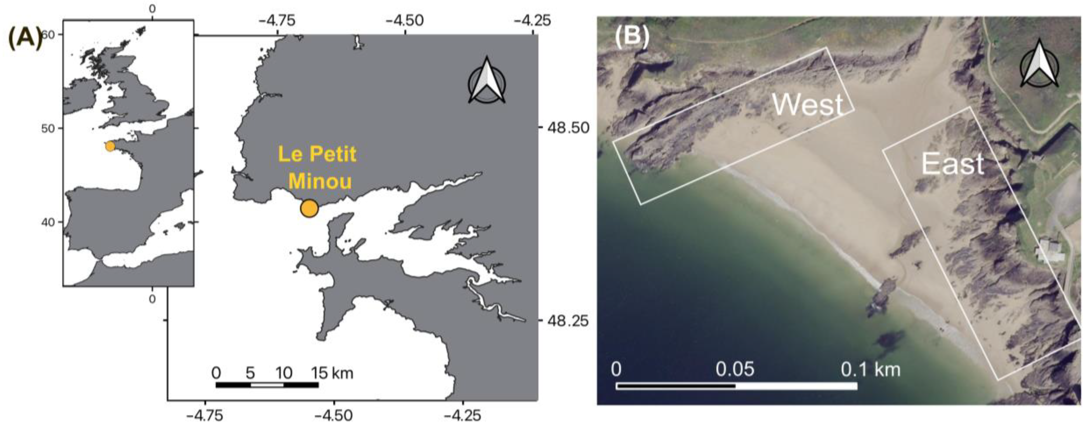 Remotesensing 14 05441 g001