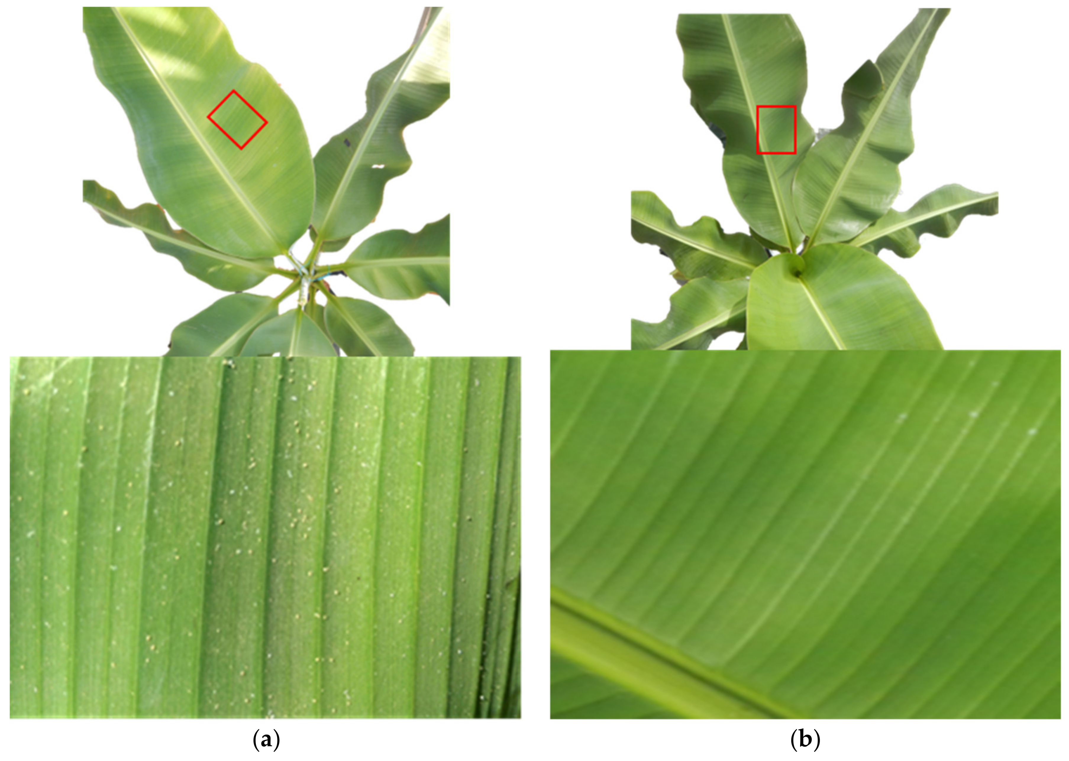 Remotesensing 14 05467 g001