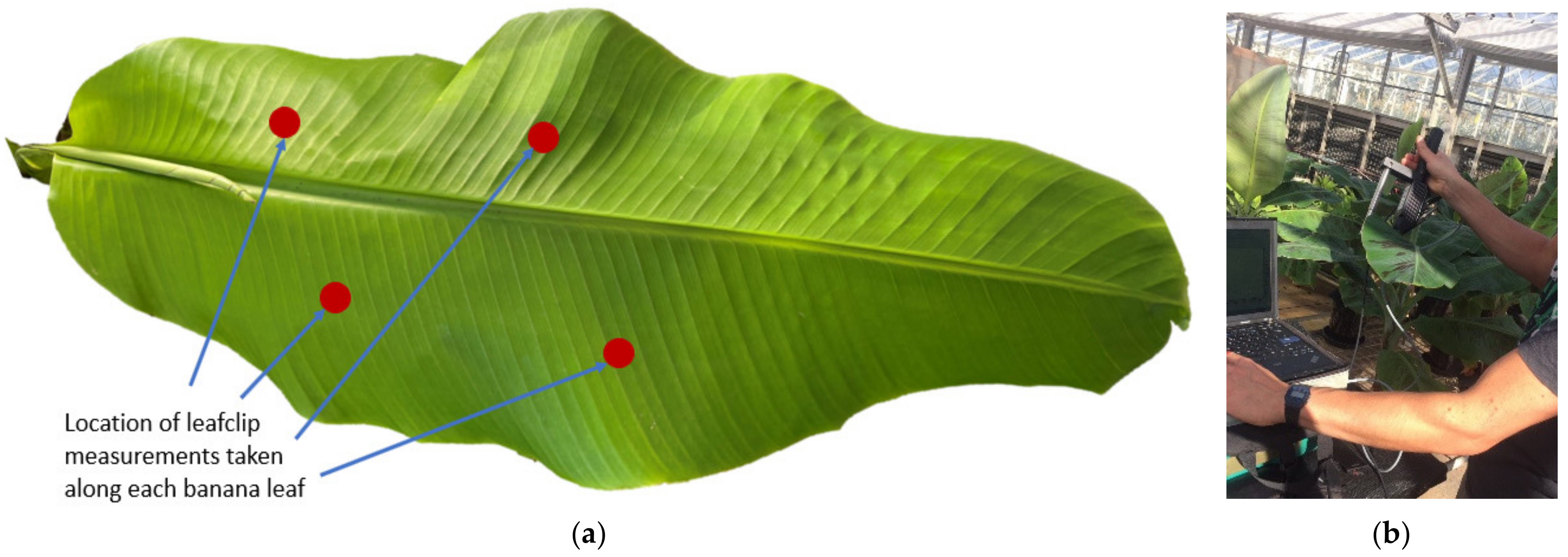 Remotesensing 14 05467 g002