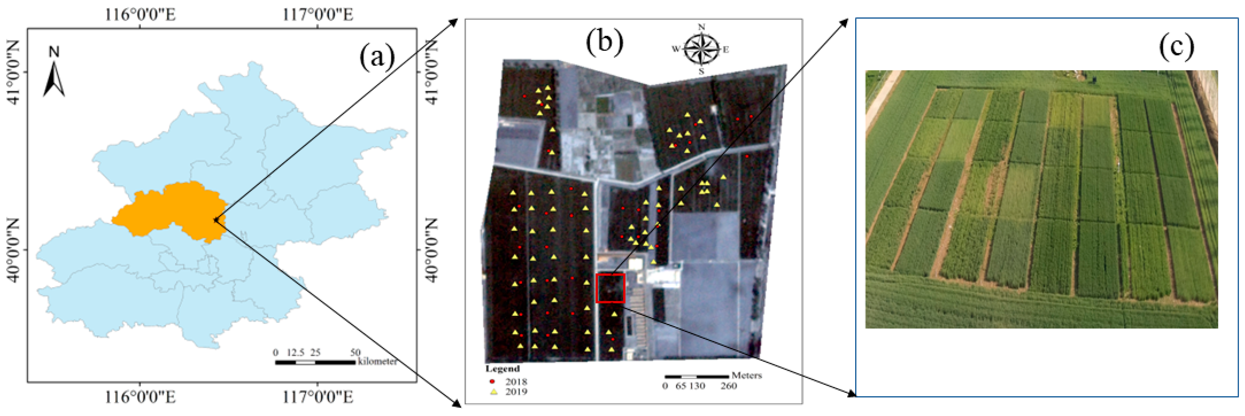 Remotesensing 14 05474 g001 Remotesensing 14 05474 g001