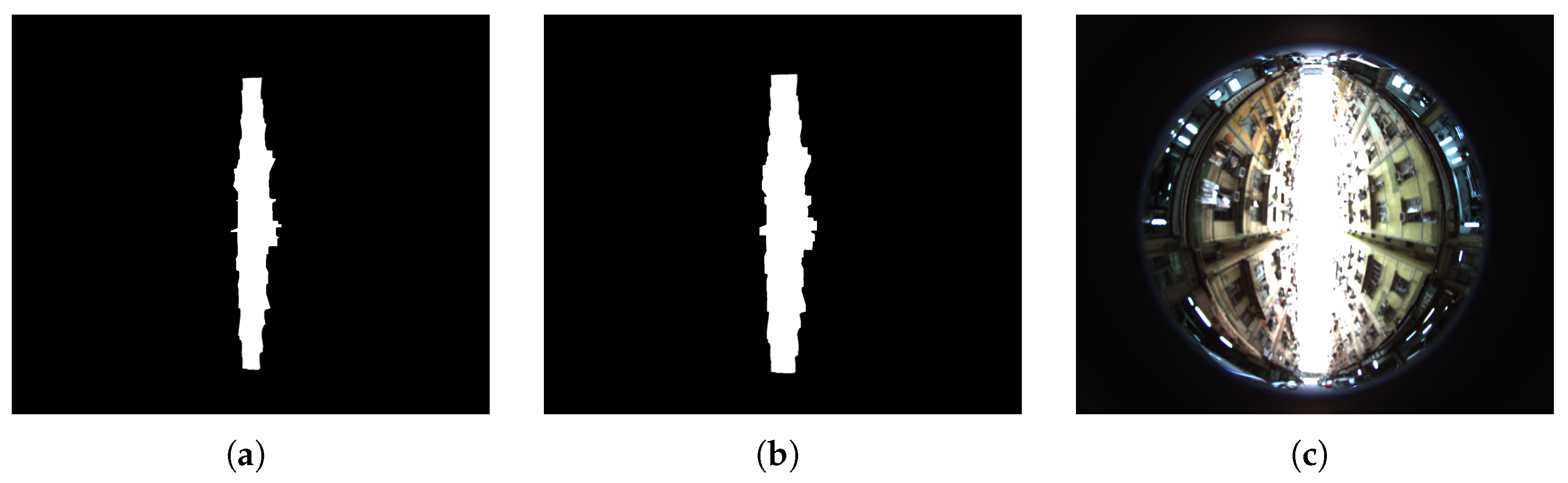 Remotesensing 14 05493 g010