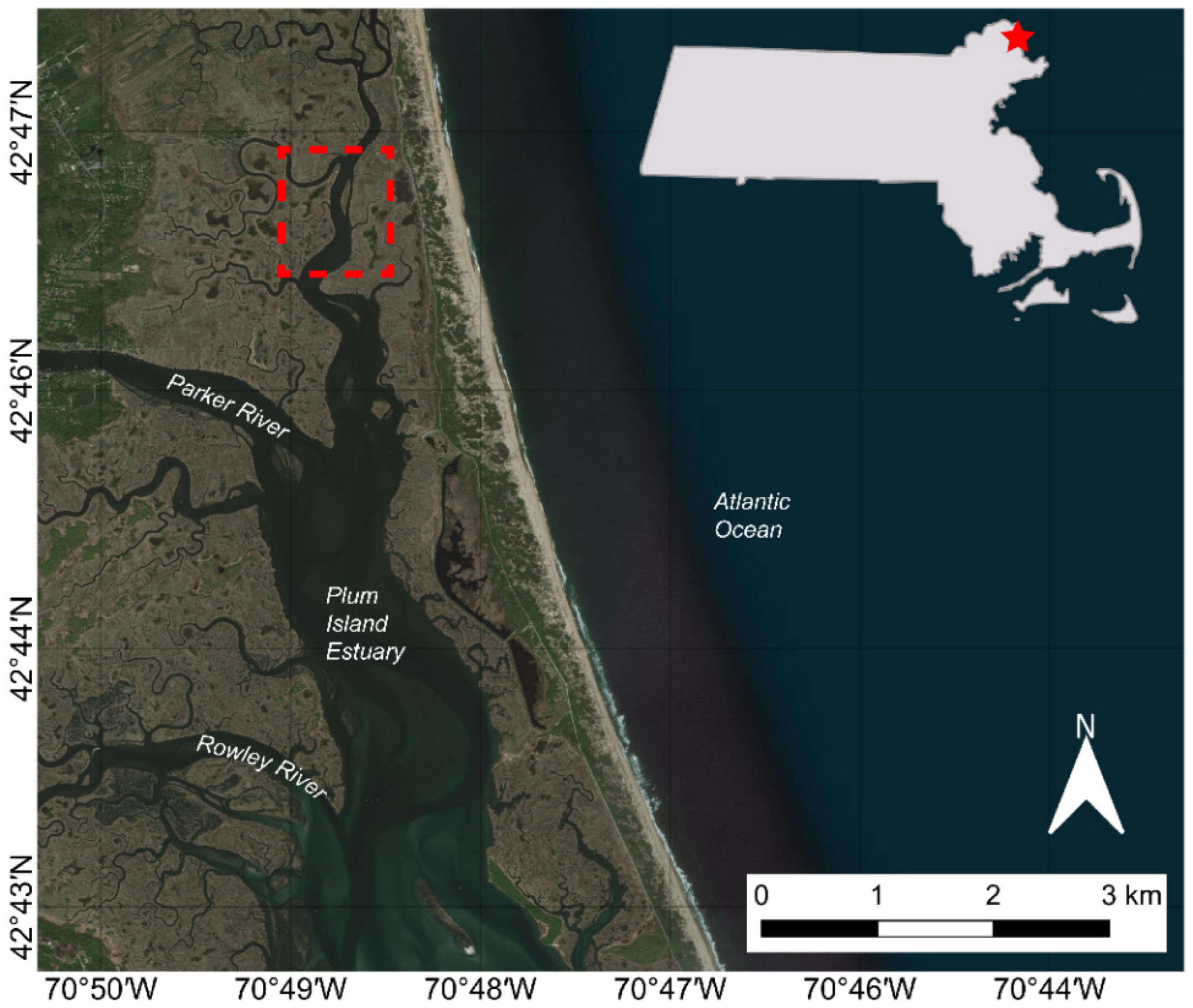 Remotesensing 14 05499 g001