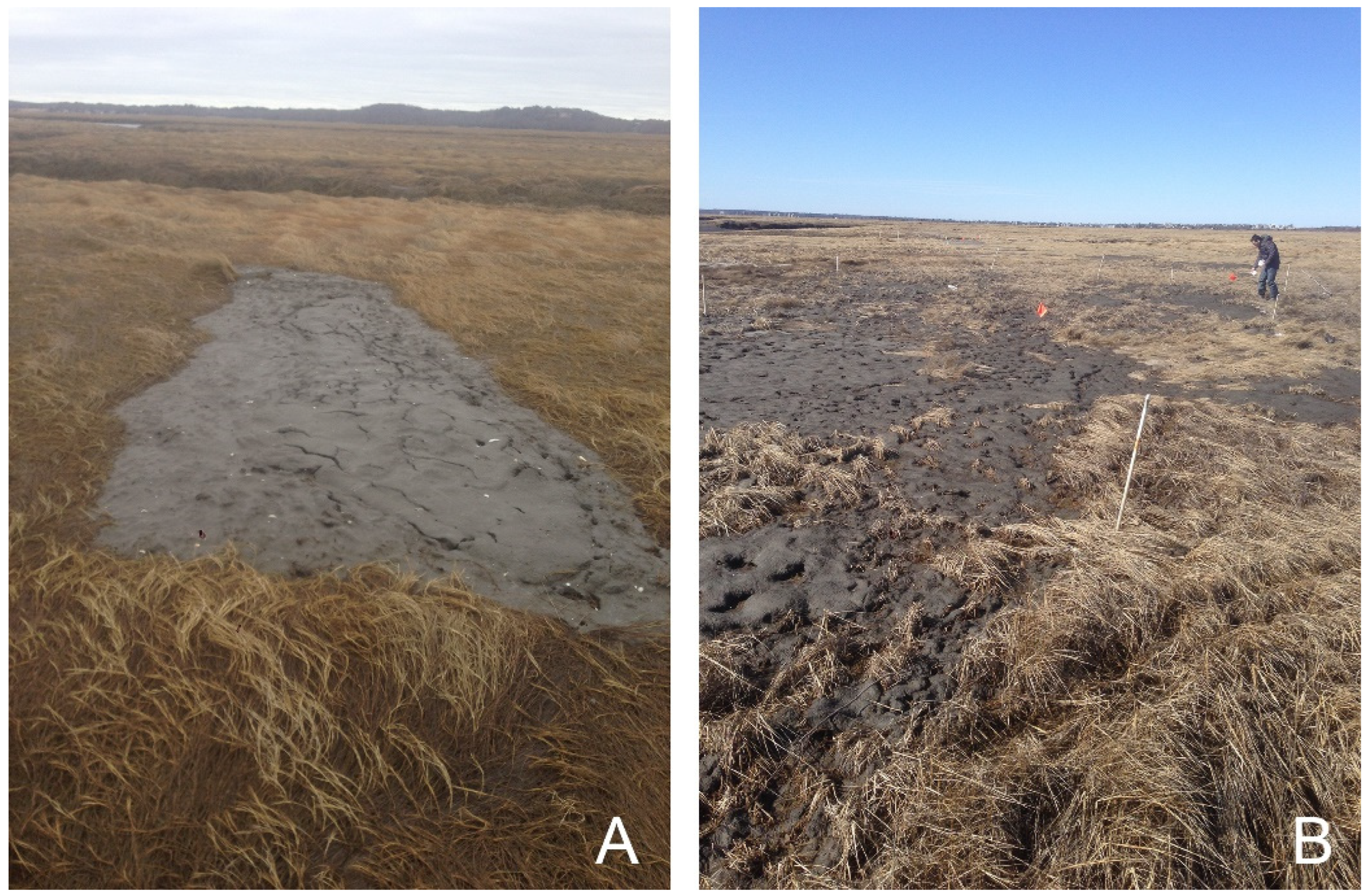 Remotesensing 14 05499 g002