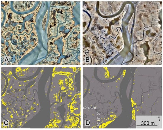 Remotesensing 14 05499 g004