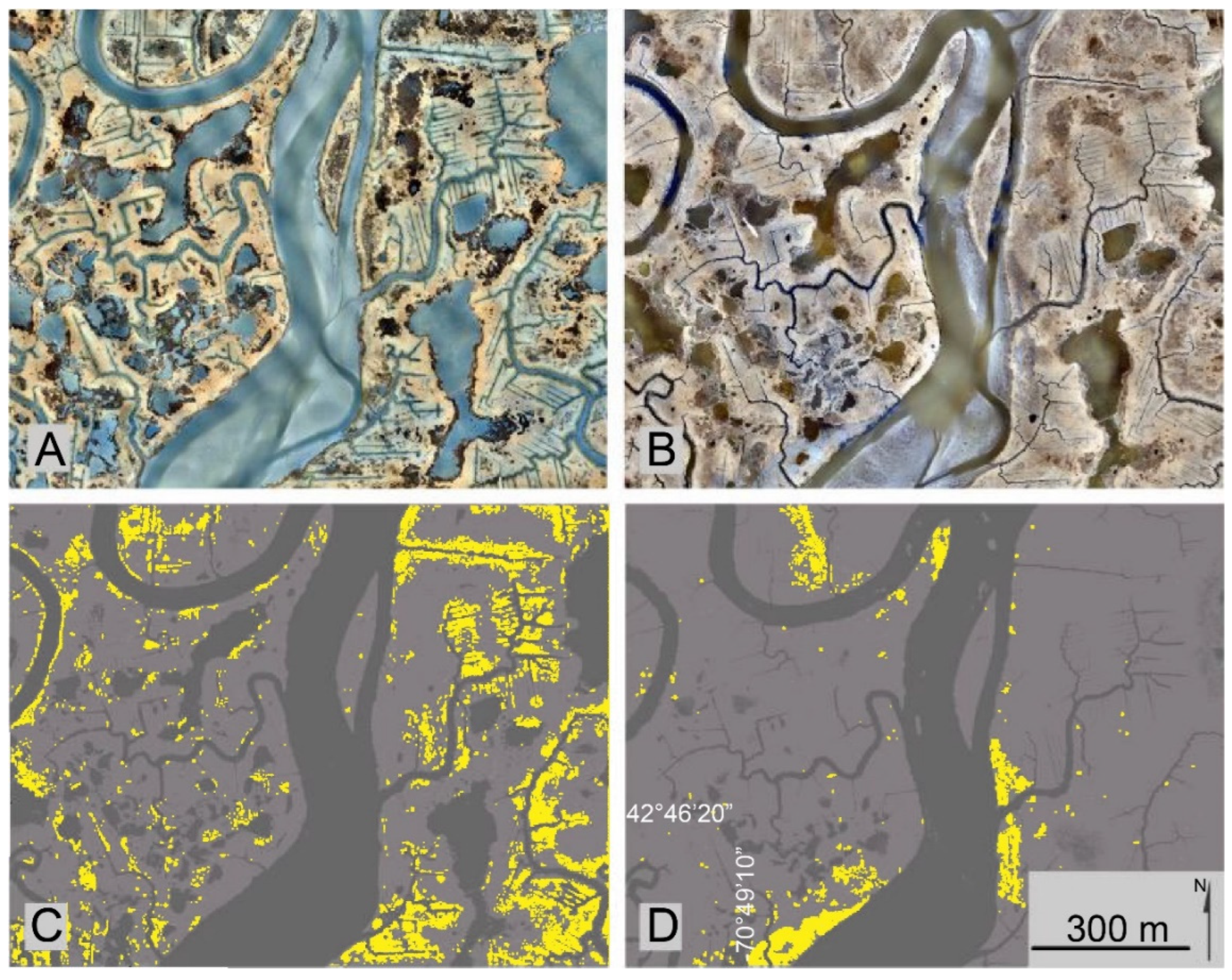 Remotesensing 14 05499 g004