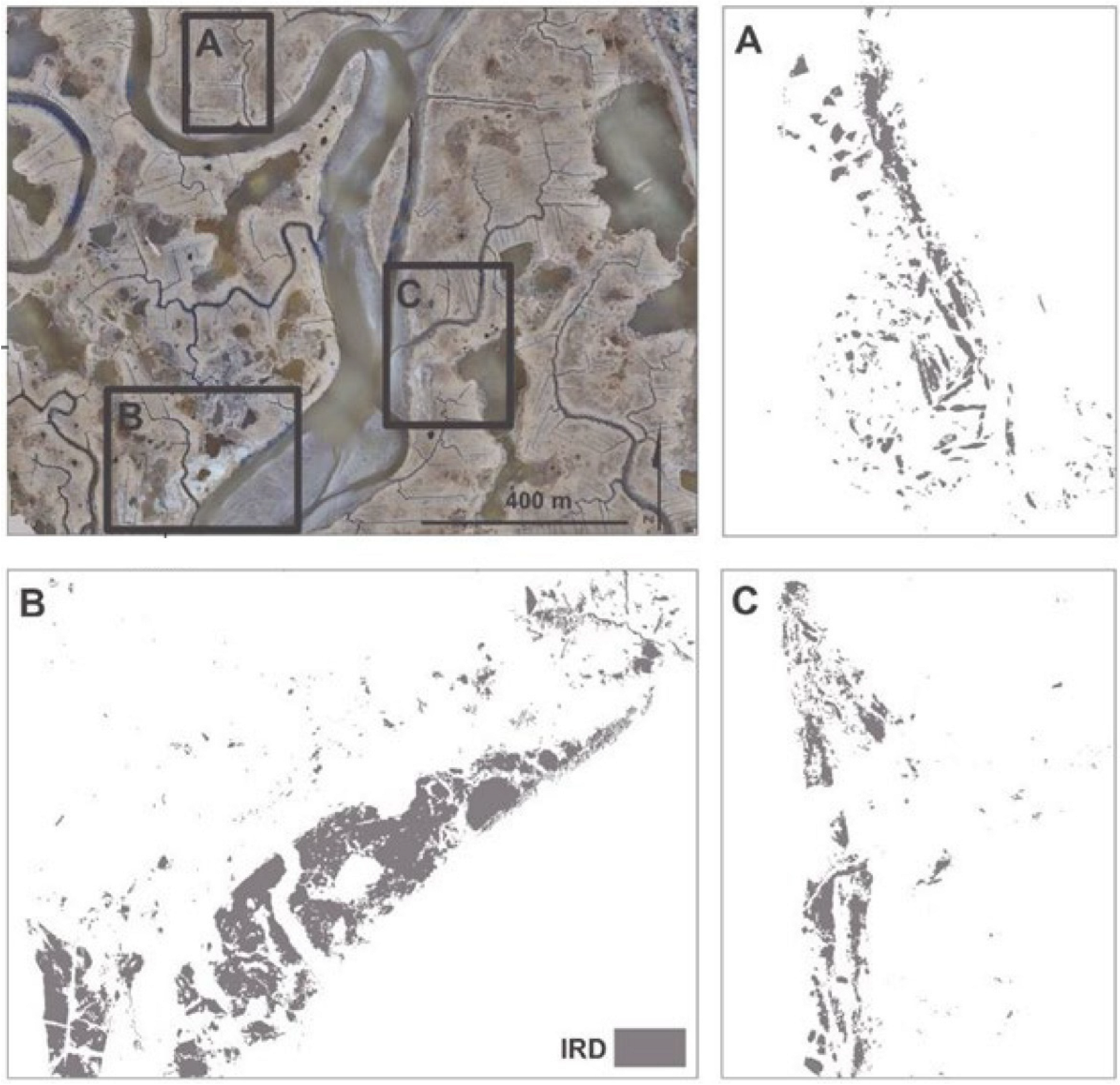 Remotesensing 14 05499 g005