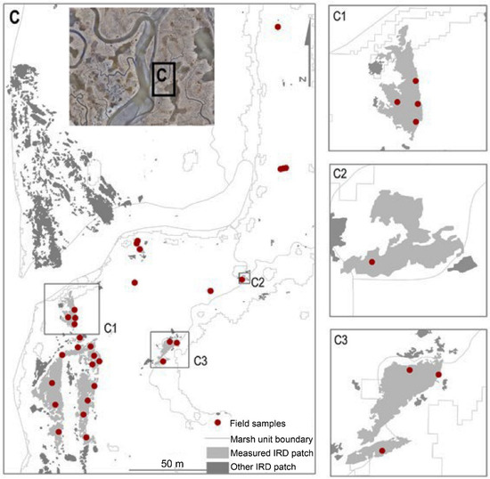 Remotesensing 14 05499 g006
