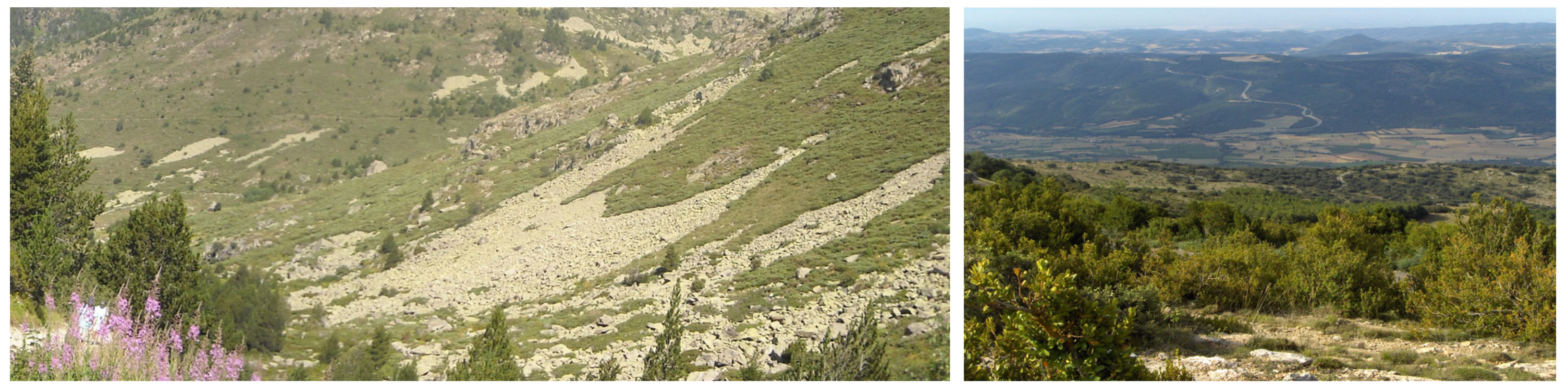 Remotesensing 14 05531 g002 Remotesensing 14 05531 g002