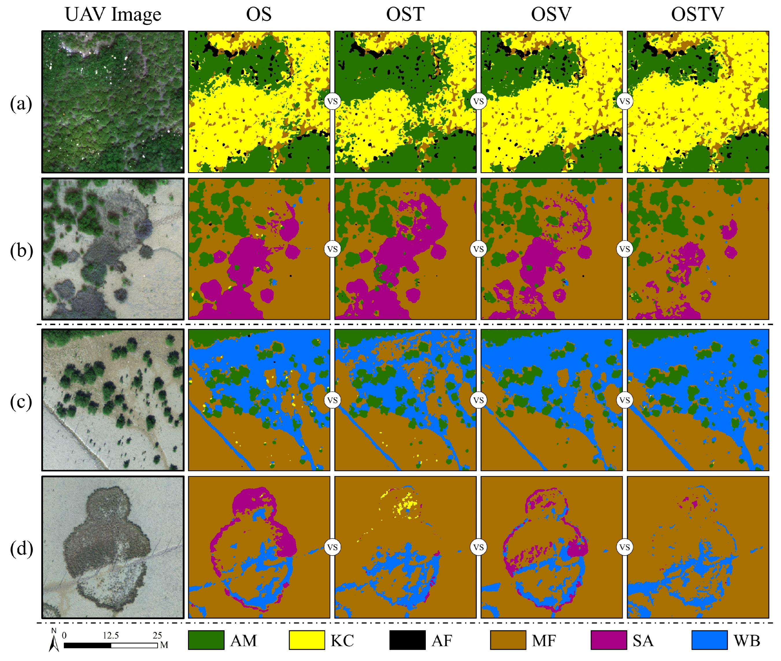 Remotesensing 14 05533 g019