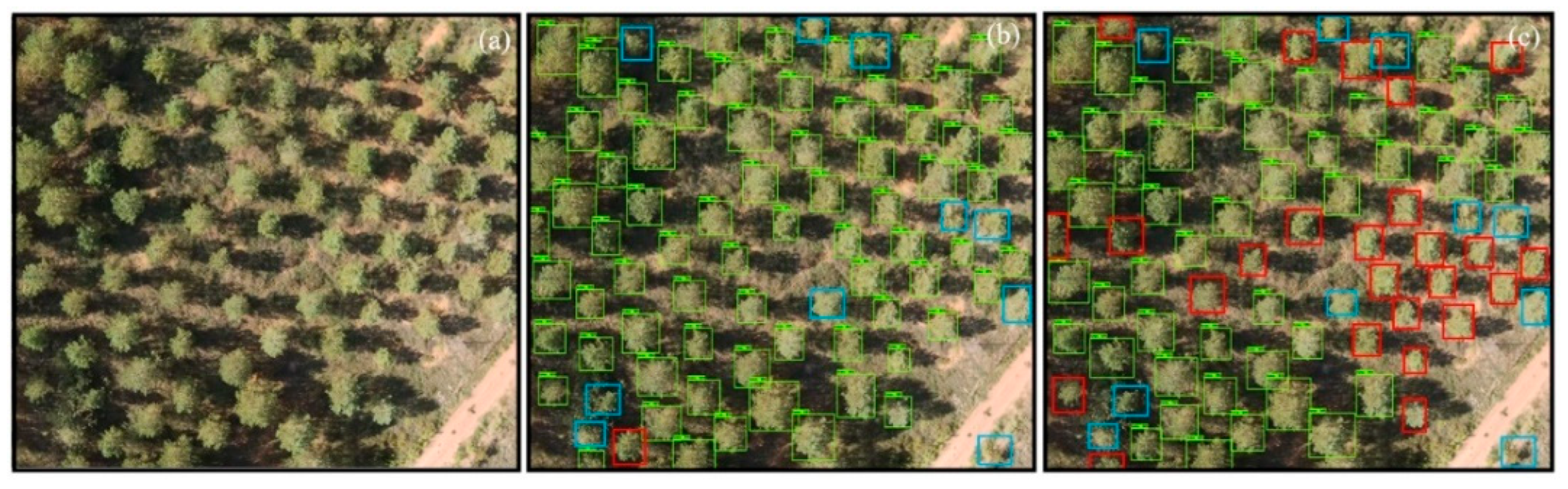 Remotesensing 14 05545 g007 Remotesensing 14 05545 g007