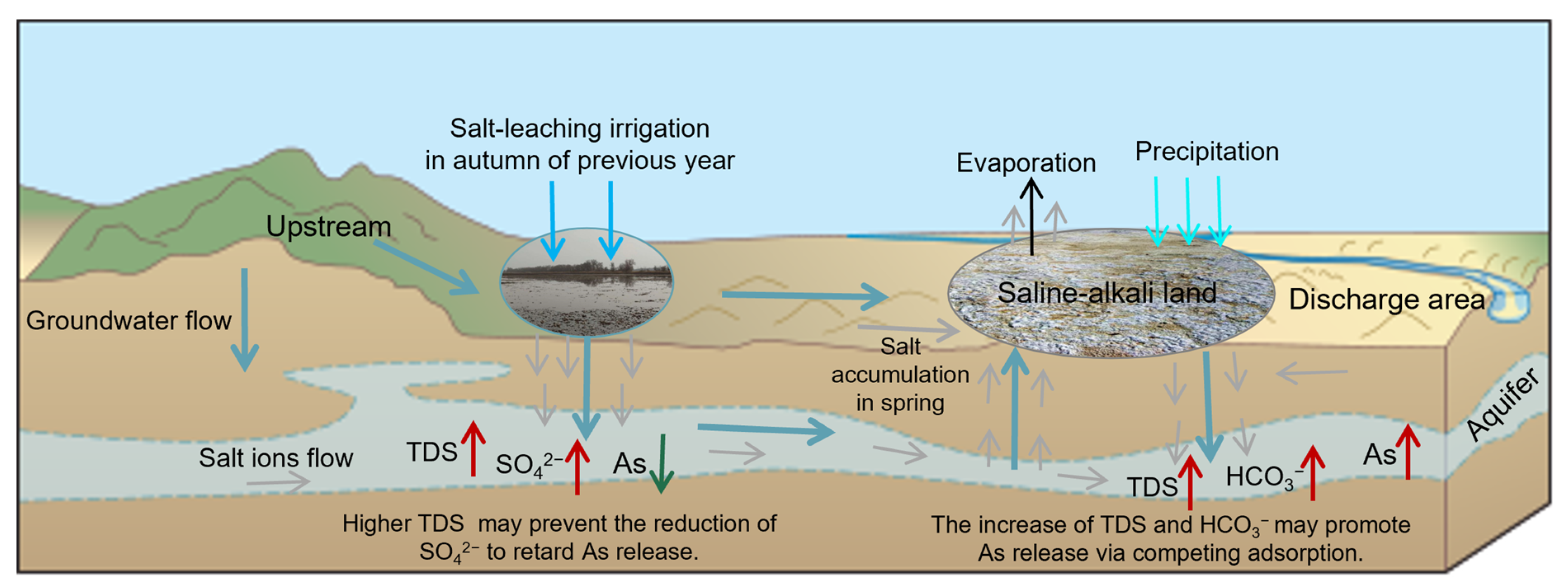Remotesensing 14 05586 g010