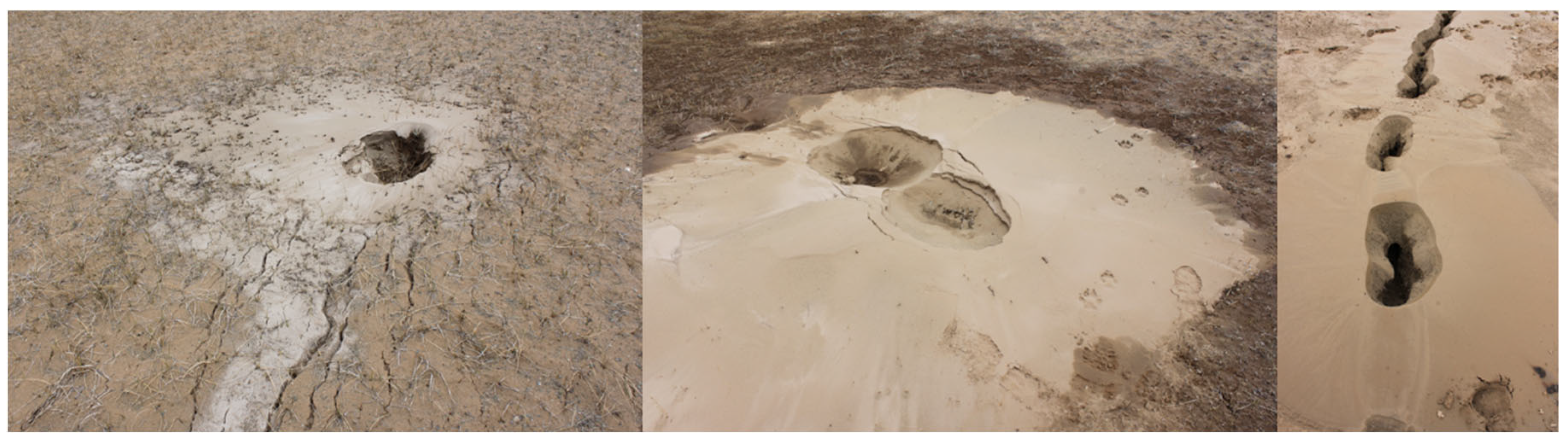 Remotesensing 14 05595 g016