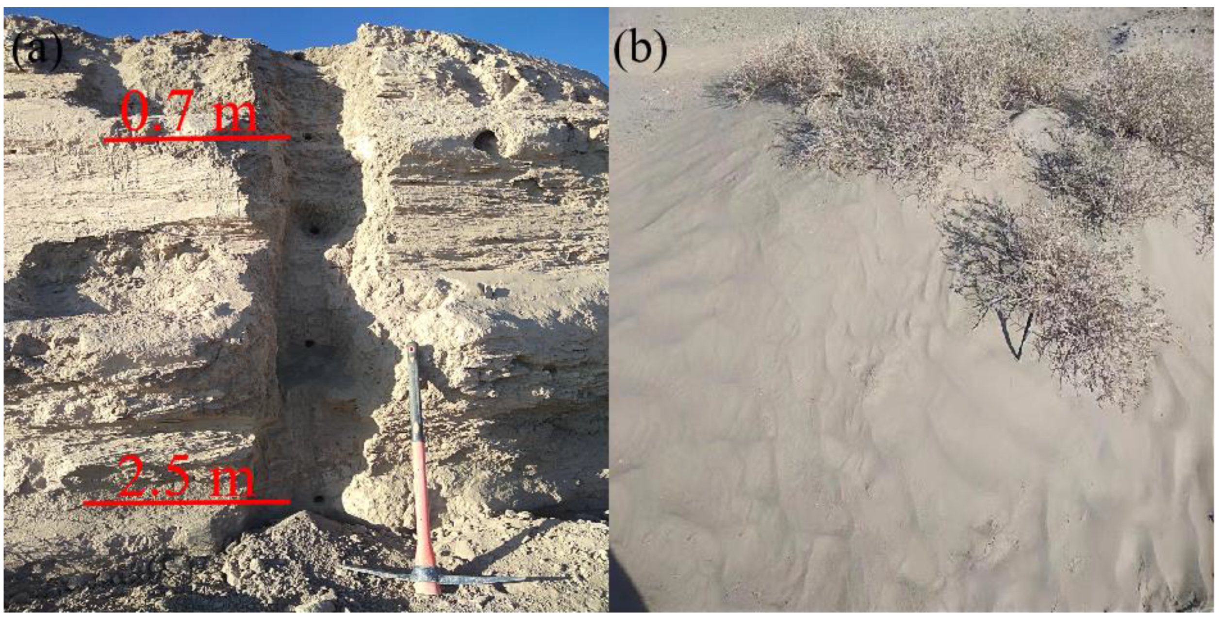 Remotesensing 14 05628 g004