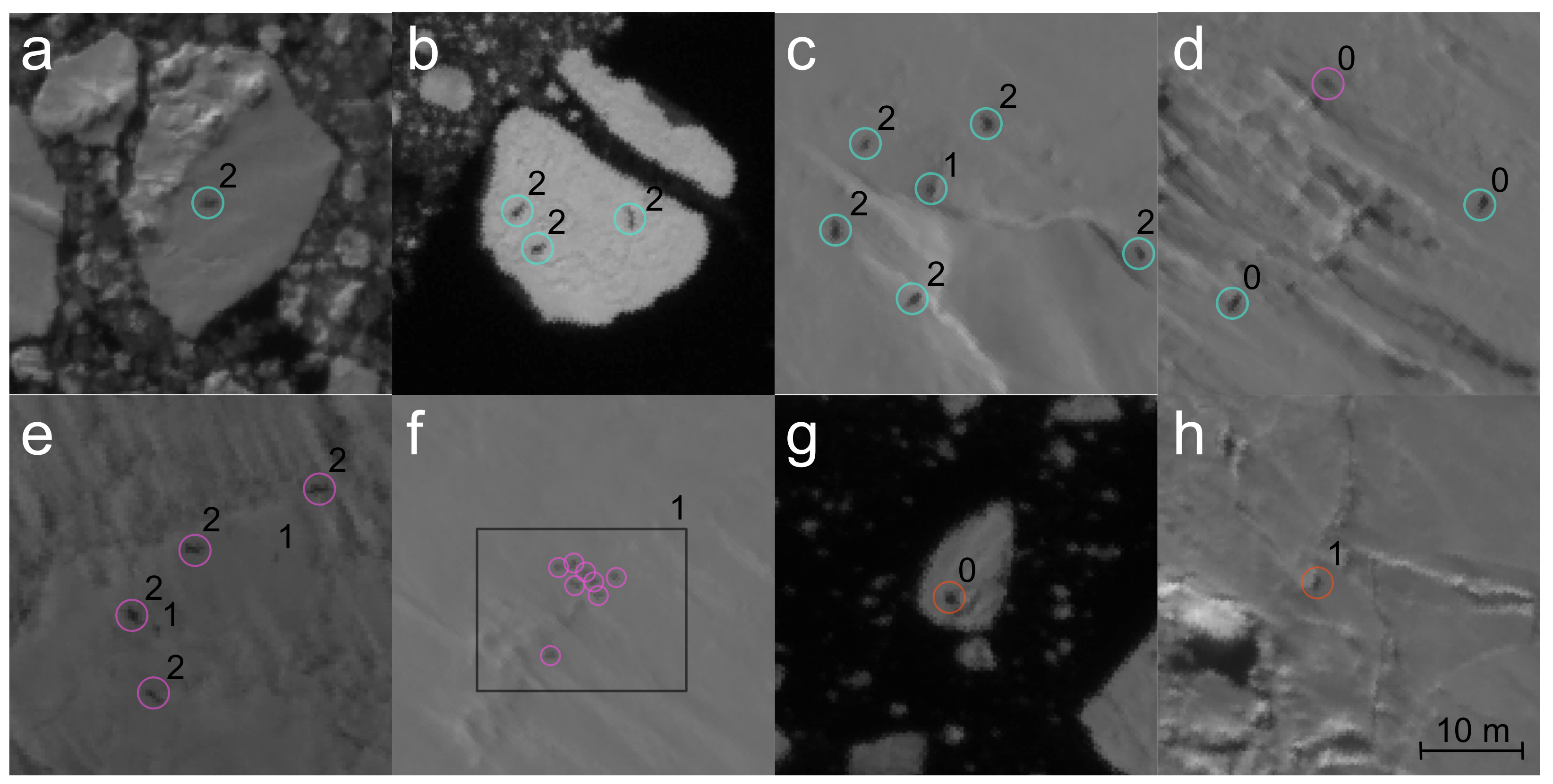 Remotesensing 14 05655 g007